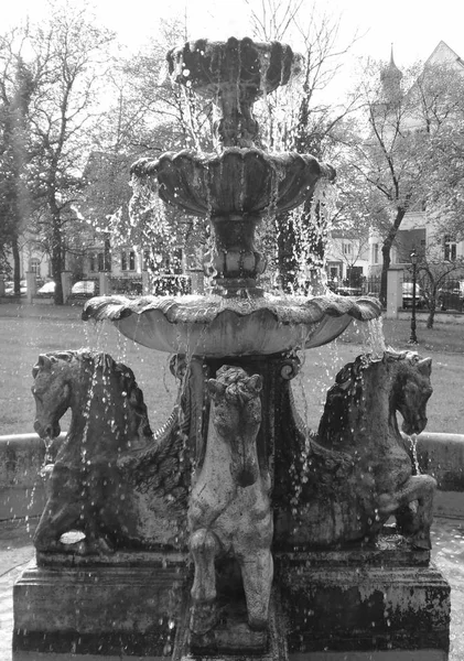 Fountain with horses sculptures