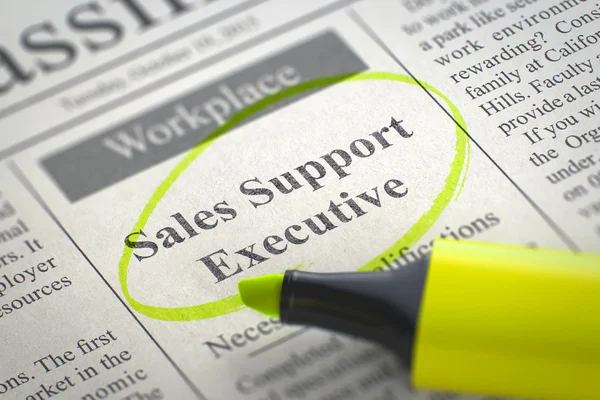 Sales Support Executive gezocht. 3d. — Stockfoto