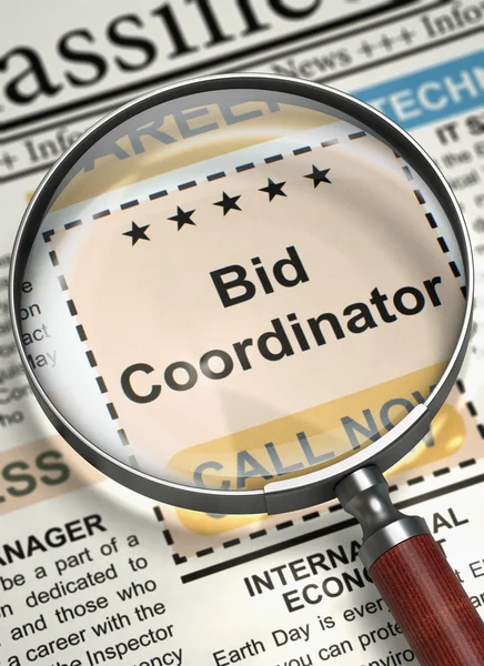 Bid Coordinator Job Vacancy. 3D. — Stock Photo, Image