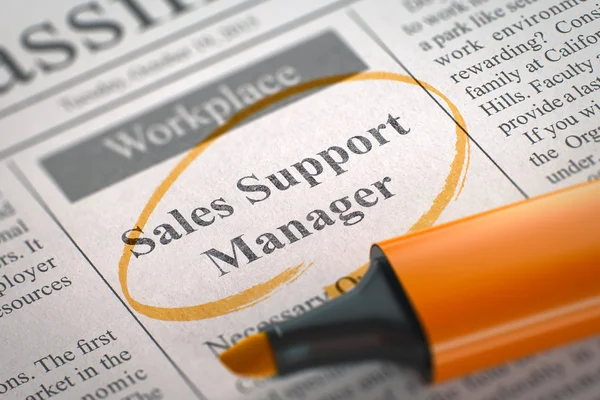 Sales Support Manager poszukiwany. 3d. — Zdjęcie stockowe