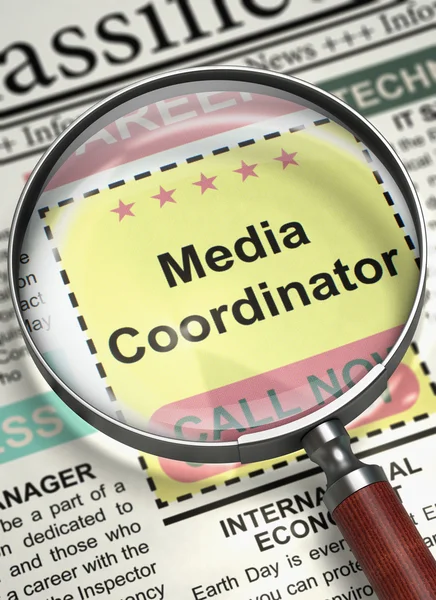 Were Hiring Media Coordinator. 3D. — Stock Fotó