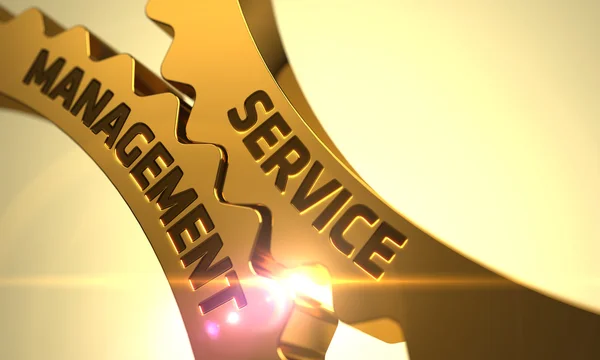 Golden Metallic Gears with Service Management Concept. 3D. — Stock fotografie