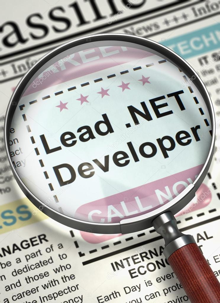 Lead .NET Developer Join Our Team. 3D.