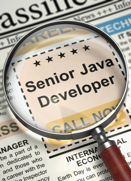 Nu anställer Senior Java-utvecklare. 3D. — Stockfoto