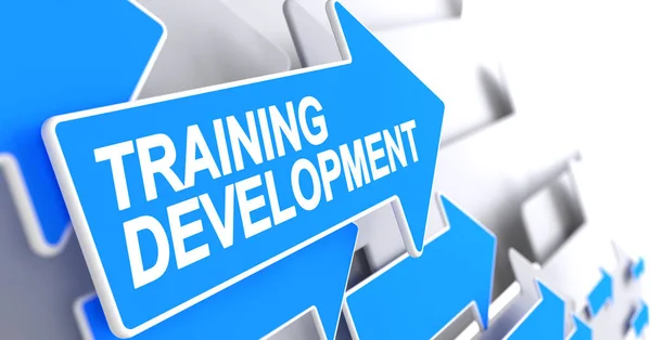 Training Development Inscription on the Blue Pointer (en inglés). 3D . — Foto de Stock