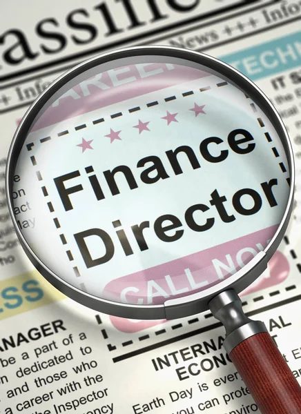 Hyra Finance Director. 3D. — Stockfoto