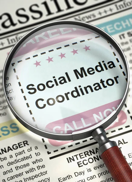 We are Hiring Social Media Coordinator. 3D.