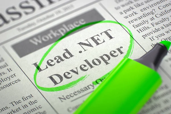 Wir stellen Lead-.net-Entwickler ein. 3d. — Stockfoto