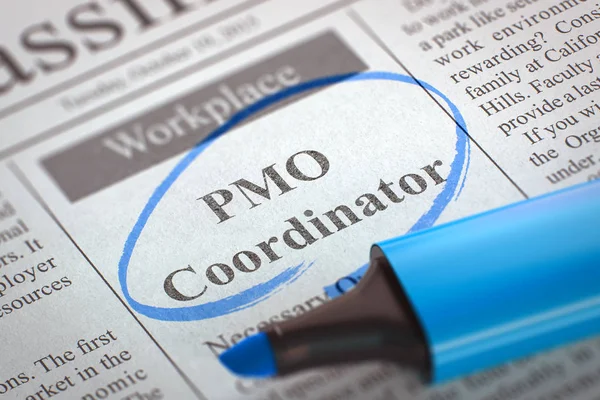 Assumevano il coordinatore del PMO. 3d . — Foto Stock