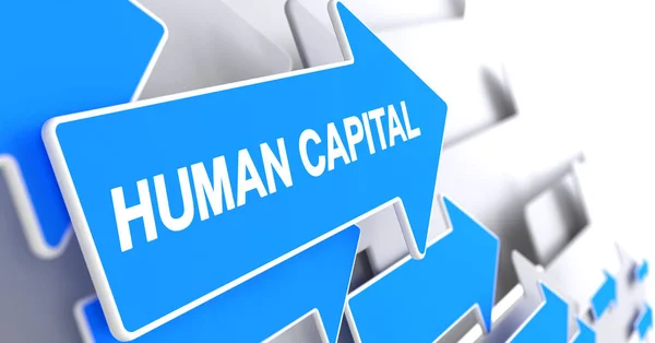 Человеческий капитал - сообщение на синем указателе. 3D . — стоковое фото