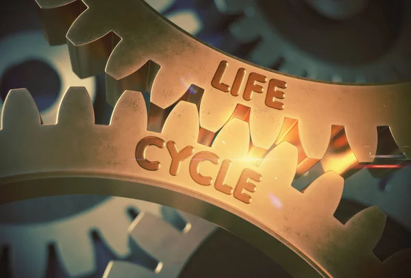 Life Cycle Concept. Golden Cogwheels. 3D Illustration. — Stock Photo, Image