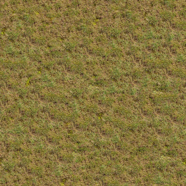 Bezešvá textura jarní klíčení trávy. — Stock fotografie