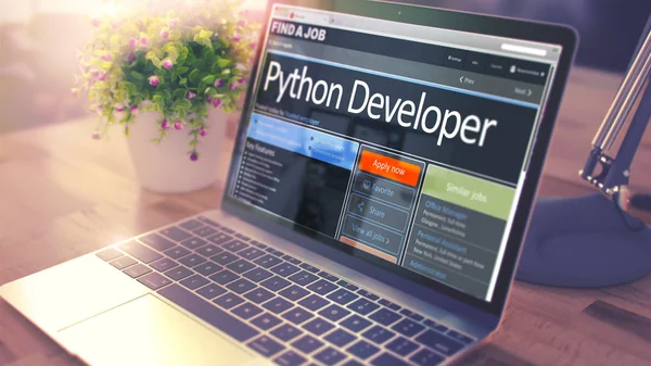Python-utvecklare hyra nu. 3D. — Stockfoto