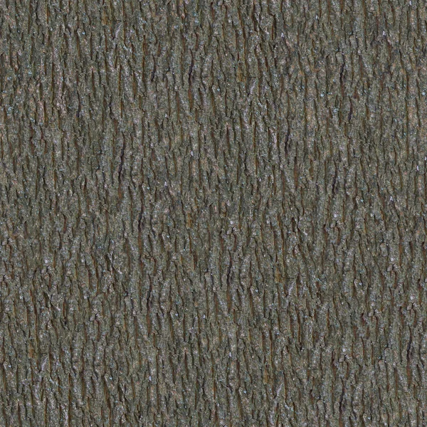 Elm Bark. Seamless Texture. — Stock Photo © tashatuvango #22588533