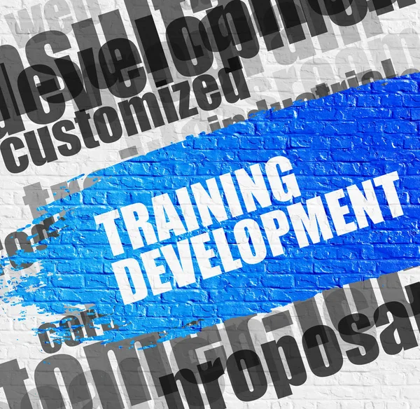 Training Development on the Brick Wall. — Stock Photo, Image