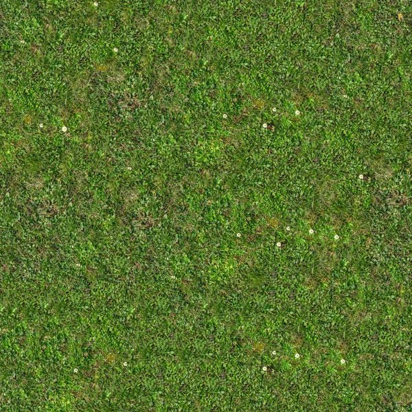 Green Grass. Texture carrelable sans couture . — Photo