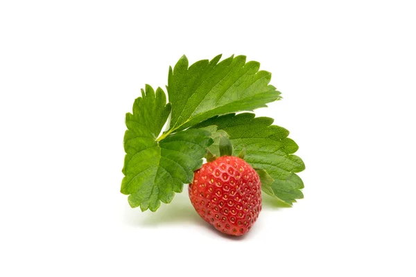 Ripe strawberry with leaves — Stock Photo, Image