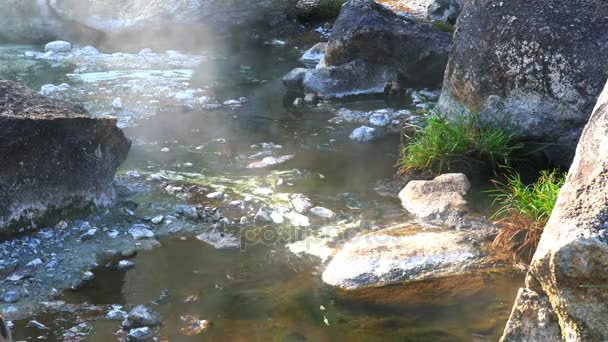 Flusso di acqua calda alle sorgenti termali nel parco nazionale di Jae Sawn — Video Stock