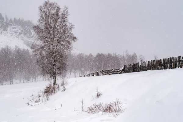Blick auf den Schneefall auf dem Feld von Irkutsk — Stockfoto