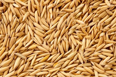 Paddy, üstten görünüm