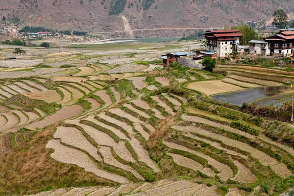 Bhutanesische Dorf in punakha — Stockfoto