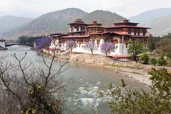 Punakha Monastery in Punakha — Stock Photo, Image