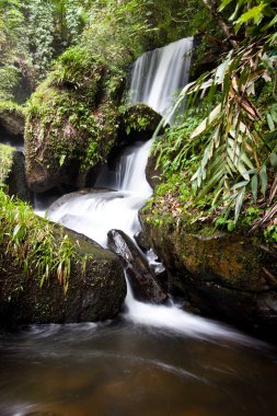 Huzurlu şelaleler görünümünü 
