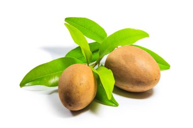 Sapodilla meyve yaprak ile
