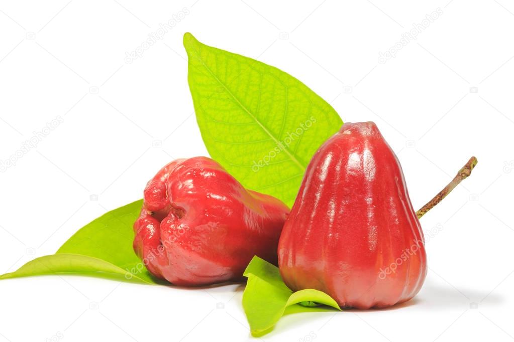 Red rose apple with leaf