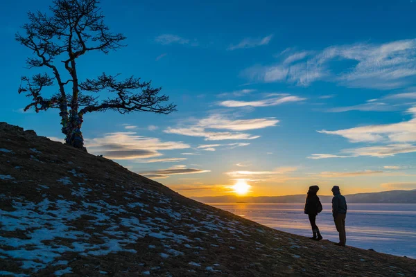 Scena di silhouette di albero sacro a Capo Burkhan sull'isola di Olkhon — Foto Stock