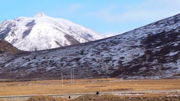 Paisagem montanhosa no inverno de Sichuan, China — Vídeo de Stock