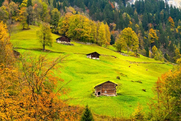 Vista de casas en los Alpes suizos en otoño — Foto de Stock