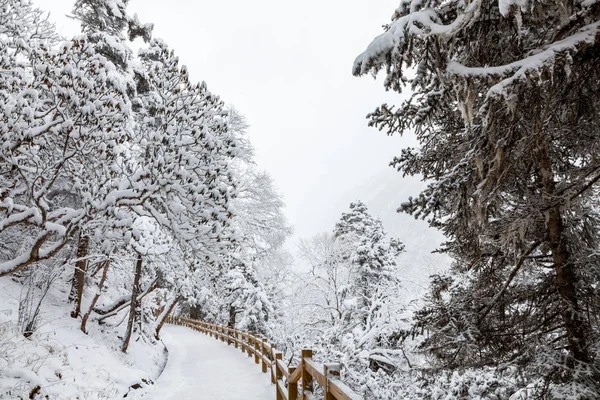 Vista de Huanglong con nieve en invierno —  Fotos de Stock