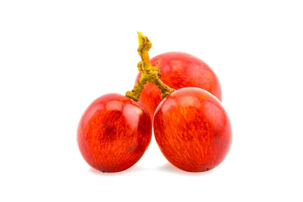 Friske røde druer - Stock-foto