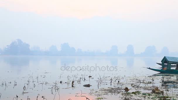 Srinagar Cachemira India Noviembre 2012 Hombre Indio Remando Barco Shikara — Vídeo de stock