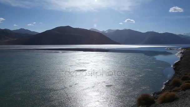 Vista Lago Pangong Ladakh Índia Com Turistas Caminhando Costa — Vídeo de Stock