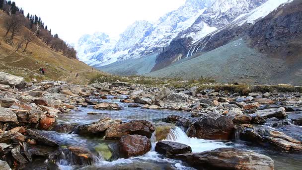 Pohled Stream Velké Himálajské Ledovce Údolí Kašmíru Údolí Sonmarg Také — Stock video