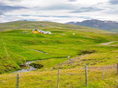 Yeşil tepe, dağ ve bir dere ile İzlanda manzara