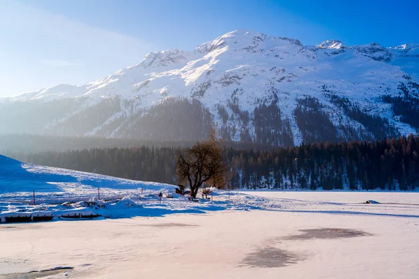 Veduta della Valle Alpina al mattino a St. Moritz — Foto Stock