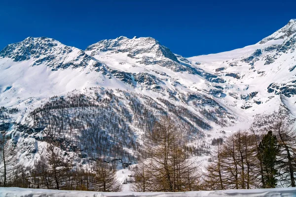 Vista de los Alpes cubiertos de nieve desde el tren Bernina Express — Foto de Stock