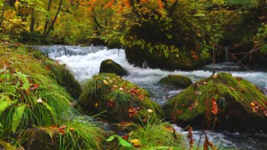 Orase su akıntısı manzarası, Aomori 'deki Towada Gölü' nün boşaltılması. Japonya, sonbaharda.