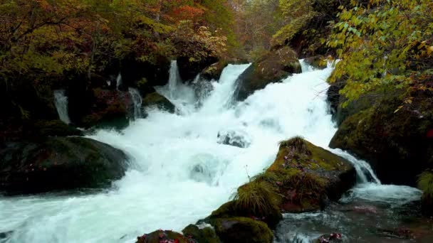 Bela Vista Outono Uma Cachoeira Rio Oirase Oirase Gorge Towada — Vídeo de Stock