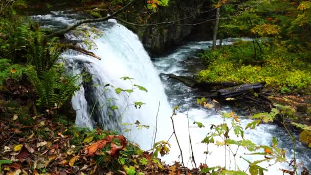 Herbst Blick Auf Choshi Otaki Wasserfälle Oirase Schlucht Towada Hachimantai — Stockvideo