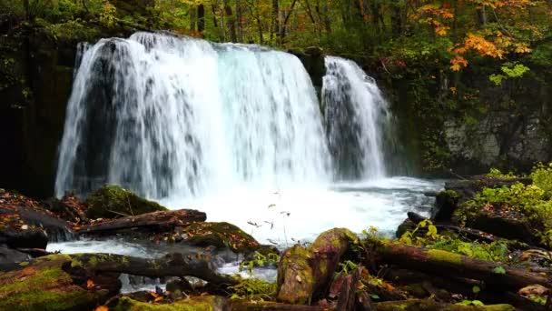 Choshi Otaki, Vodopády u potoka Oirase v podzimní sezóně v národním parku Towada Hachimantai v prefektuře Aomori, Japonsko.