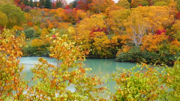 Hermosa Vista Otoño Estanque Jigokunuma Con Los Brillantes Tonos Rojo — Vídeo de stock