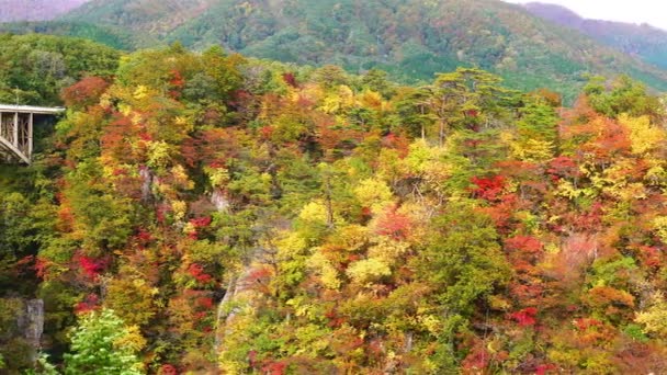 Bela Paisagem Cênica Desfiladeiro Naruko Com Folhagem Colorida Temporada Outono — Vídeo de Stock