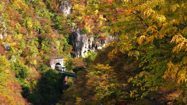 秋天的时候 从纳鲁科峡谷的隧道里出来的一列火车 车上的树叶五彩斑斓 多姿多彩 奈及子峡谷位于日本宫崎县奈及子镇 — 图库视频影像