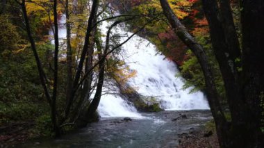 Güzel Ryuzu Şelaleleri Sonbaharın renkli yaprakları ve temiz suyun akışı Nikko, Tochigi Bölgesi, Japonya 'da.