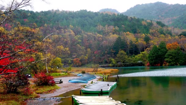 Barva Podzimu Jezera Chuzenji Dešti Nikko Prefektura Tochigi Japonsko Krásnou — Stock video