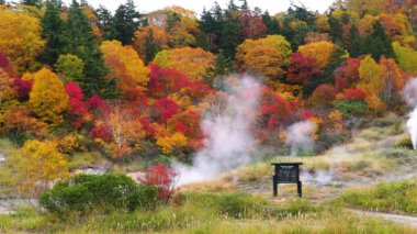 Towada Hachimantai Ulusal Parkı 'ndaki Fuke no Yu onsen Dağı' nda, Akita Bölgesi 'nde, yerden gelen beyaz buharlı Japonya' da sonbaharda güzel bir yeşillik rengi..